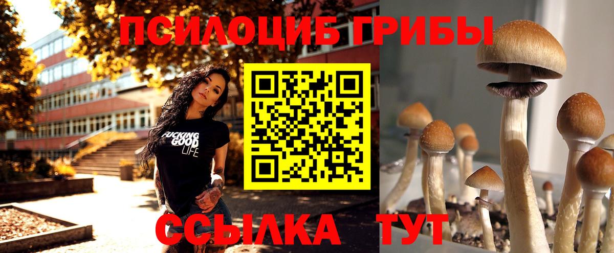 Галлюциногенные грибы мухоморы Малоярославец