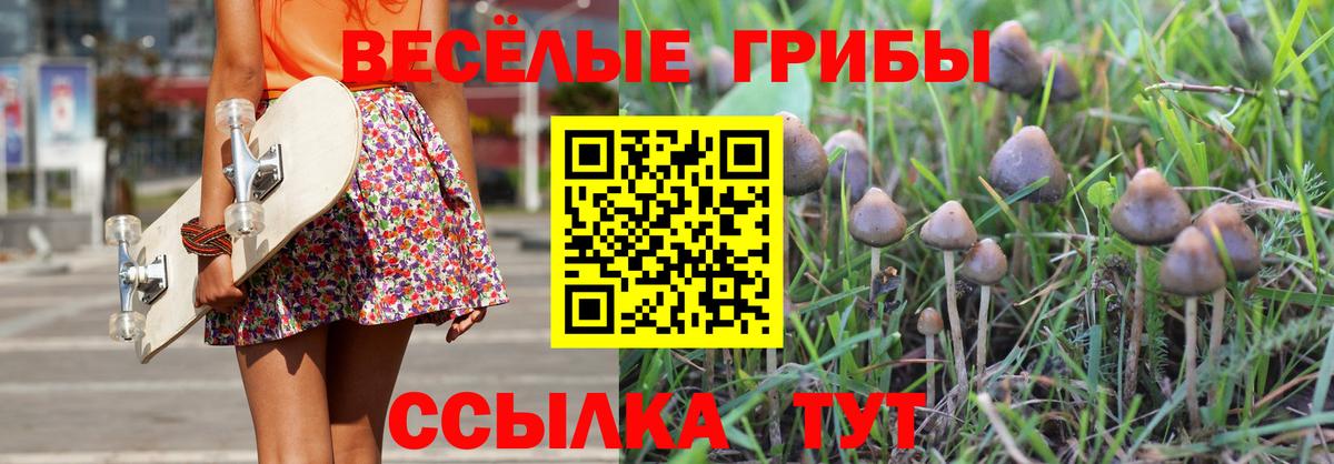 Галлюциногенные грибы Psilocybine cubensis  Вход с VPN  Малоярославец  Галлюциногенные грибы мицелий 